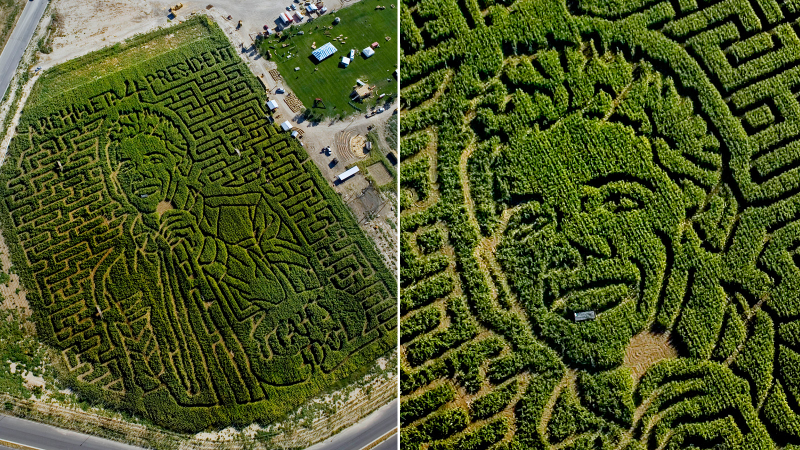 Illustration for article titled 23 Amazing Labyrinths To Get Lost In